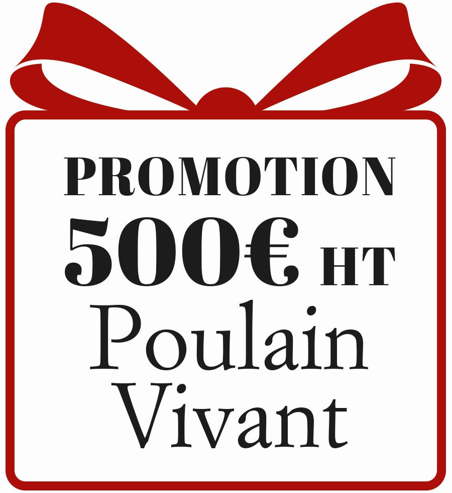 Promotion 500€ HT Poulain Vivant