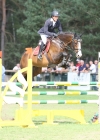 Saratoga Bois Margot (L'Arc de Triomphe x Quidam de Revel), CSI 3*