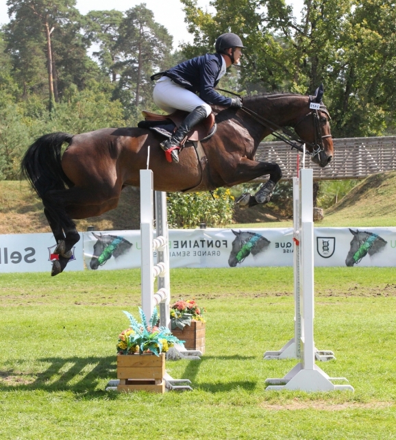 Astings du Busson (Quality Bois Margot x Quatoubet), Finaliste à 7 ans à Fontainebleau, ISO 143