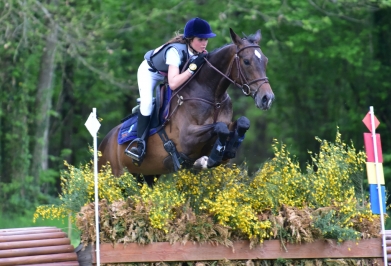 Qatil du Bailly (Quality Bois Margot x Soir d'Avril)