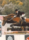 Javotte D Jument de base de l'élevage du Château, Kire Royal Star CSIO