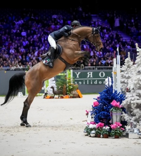 Dallas Vegas Batilly (Cap Kennedy x L'Arc de Triomphe), classée dans la Grand Prix Rolex 1m60 du CSI5* de Genève à seulement 9 ans, sous la selle du Champion Olympique Ben Maher.