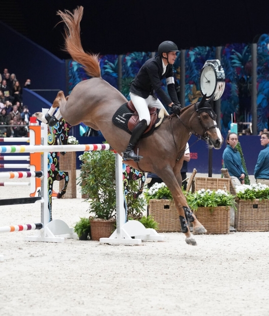 Dzara Dorchival, pré-sélectionnée aux JO de Paris; meilleure Jument SF au classement mondial WBFSH 2023; l’une des plus rapides juments du circuit sous la selle d’Henrik Von Eckermann: 9 victoires consécutives en 5*